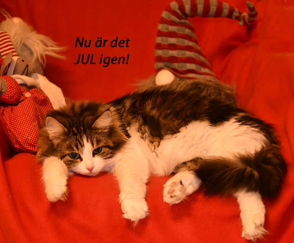 Vickie Jul